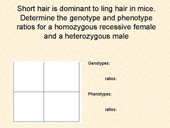 Short hair is dominant to ling hair in mice. Determine the genotype and phenotype