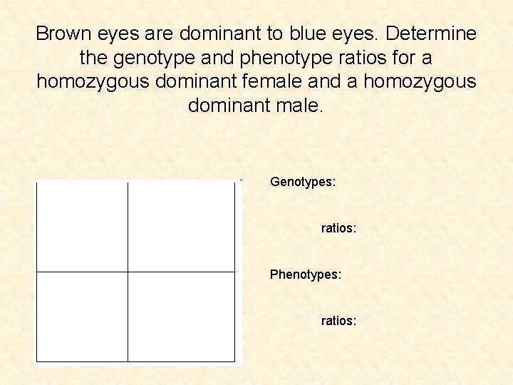 Brown eyes are dominant to blue eyes. Determine the genotype and phenotype ratios for