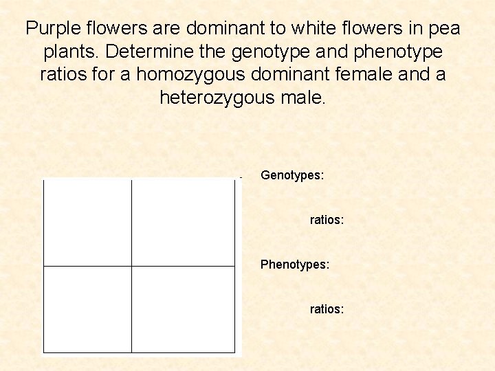 Purple flowers are dominant to white flowers in pea plants. Determine the genotype and