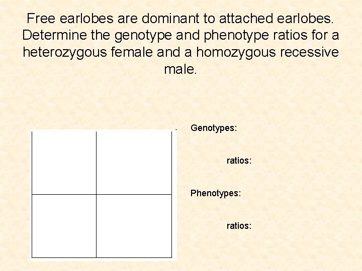 Free earlobes are dominant to attached earlobes. Determine the genotype and phenotype ratios for