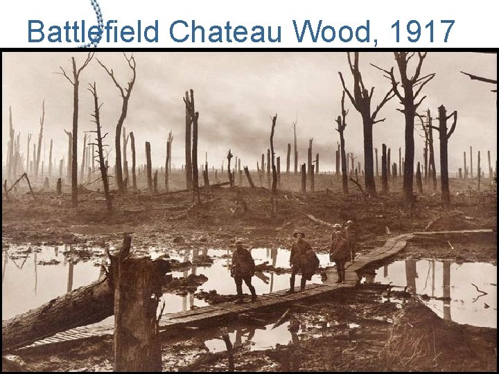 Battlefield Chateau Wood, 1917 