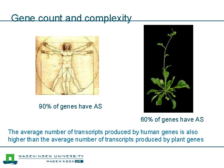 Gene count and complexity 90% of genes have AS 60% of genes have AS