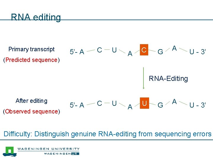 RNA editing Primary transcript 5’- A C U (Predicted sequence) A C G A