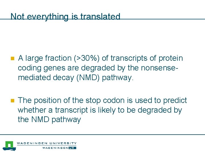 Not everything is translated n A large fraction (>30%) of transcripts of protein coding