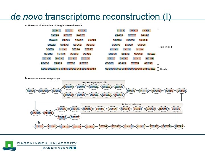 de novo transcriptome reconstruction (I) 