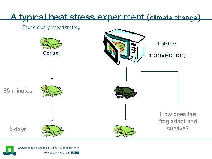 A typical heat stress experiment (climate change) Economically important frog Heat stress Control (