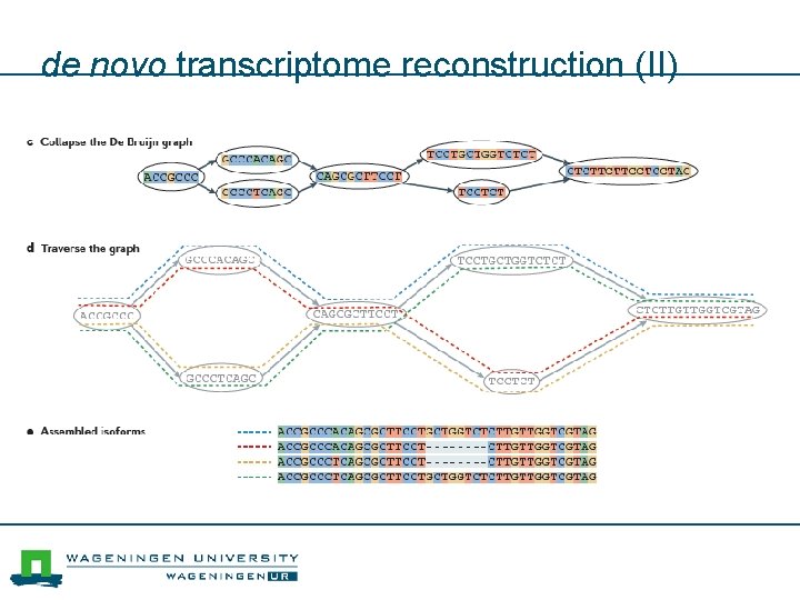 de novo transcriptome reconstruction (II) 