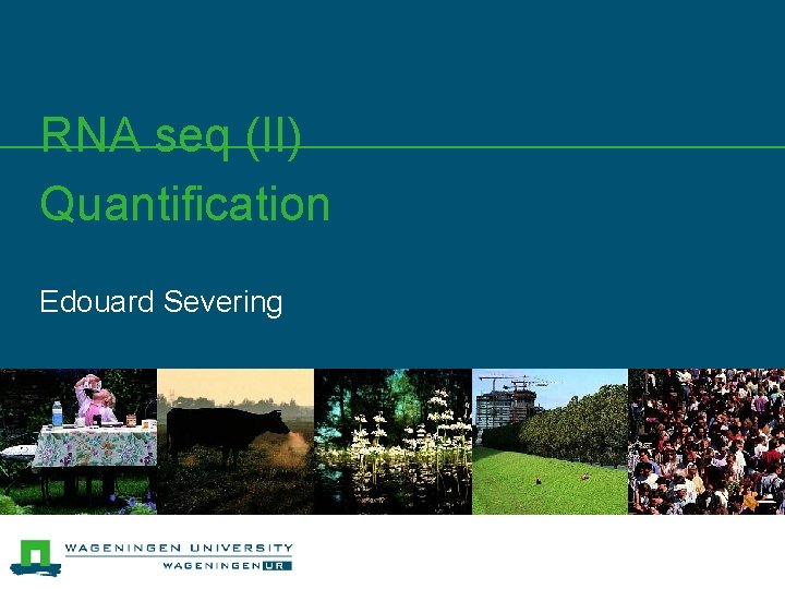 RNA seq (II) Quantification Edouard Severing 