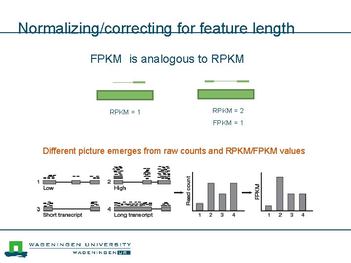 Normalizing/correcting for feature length FPKM is analogous to RPKM = 1 RPKM = 2