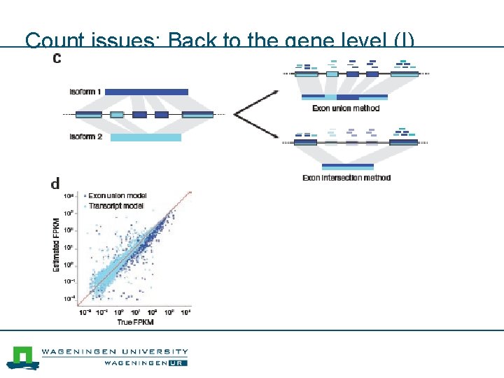 Count issues: Back to the gene level (I) 