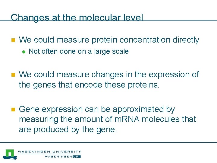 Changes at the molecular level n We could measure protein concentration directly l Not