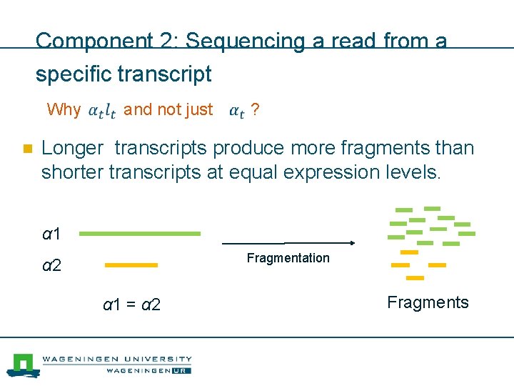 Component 2: Sequencing a read from a specific transcript Why and not just ?