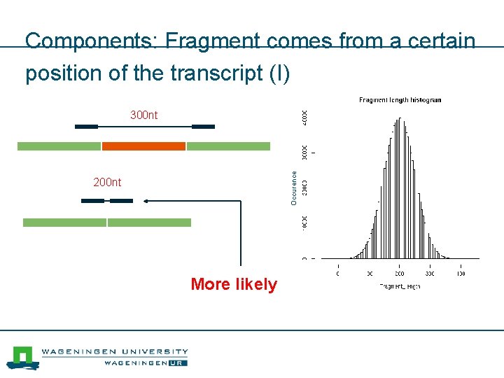 Components: Fragment comes from a certain position of the transcript (I) Occurence 300 nt