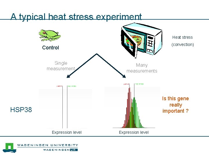 A typical heat stress experiment Heat stress (convection) Control Single measurement Many measurements Is