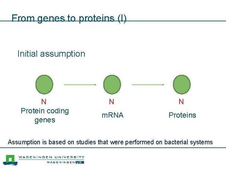 From genes to proteins (I) Initial assumption N Protein coding genes N N m.