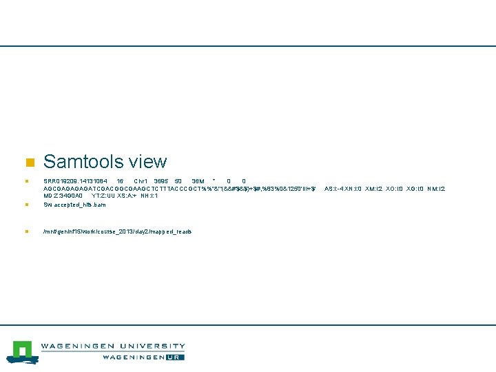 n Samtools view n SRR 019209. 14131084 16 Chr 1 3695 50 36 M