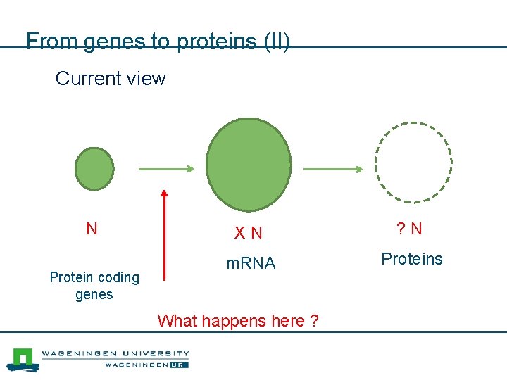 From genes to proteins (II) Current view N Protein coding genes X N ?