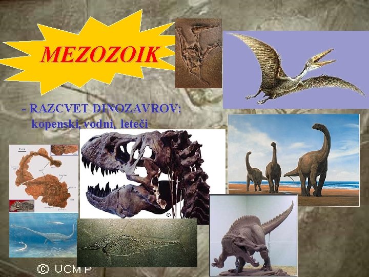 MEZOZOIK SREDINA - RAZCVET DINOZAVROV: kopenski, vodni, leteči 