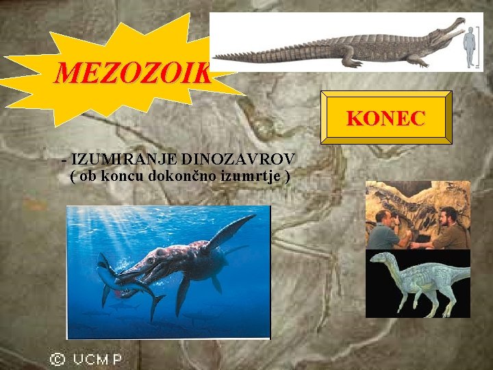MEZOZOIK KONEC - IZUMIRANJE DINOZAVROV ( ob koncu dokončno izumrtje ) 