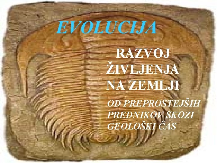 EVOLUCIJA RAZVOJ ŽIVLJENJA NA ZEMLJI OD PREPROSTEJŠIH PREDNIKOV SKOZI GEOLOŠKI ČAS 