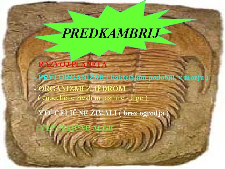 PREDKAMBRIJ - RAZVOJ PLANETA - PRVI ORGANIZMI ( bakterijam podobni, v morju ) -