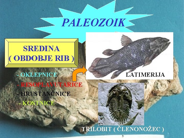 PALEOZOIK SREDINA ( OBDOBJE RIB ) - OKLEPNICE LATIMERIJA - RESOPLAVUTARICE - HRUSTANČNICE -