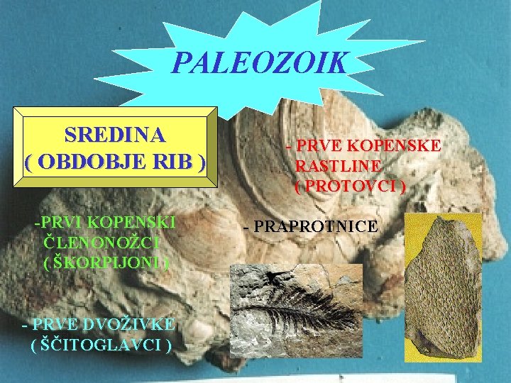 PALEOZOIK SREDINA ( OBDOBJE RIB ) -PRVI KOPENSKI ČLENONOŽCI ( ŠKORPIJONI ) - PRVE