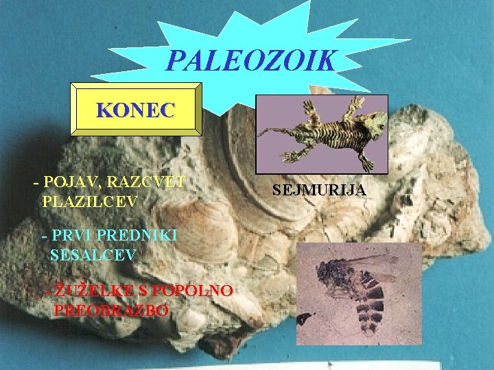 PALEOZOIK KONEC - POJAV, RAZCVET PLAZILCEV - PRVI PREDNIKI SESALCEV - ŽUŽELKE S POPOLNO