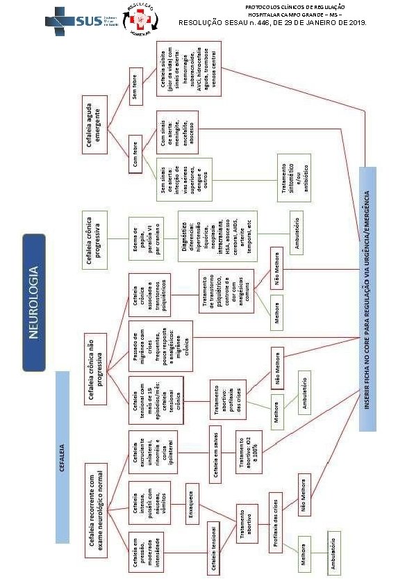 PROTOCOLOS CLÍNICOS DE REGULAÇÃO HOSPITALAR CAMPO GRANDE – MS – RESOLUÇÃO SESAU n. 446,