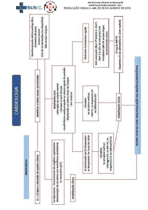 PROTOCOLOS CLÍNICOS DE REGULAÇÃO HOSPITALAR CAMPO GRANDE – MS – RESOLUÇÃO SESAU n. 446,