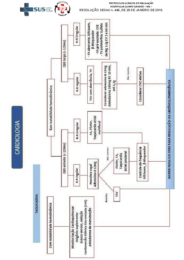 PROTOCOLOS CLÍNICOS DE REGULAÇÃO HOSPITALAR CAMPO GRANDE – MS – RESOLUÇÃO SESAU n. 446,