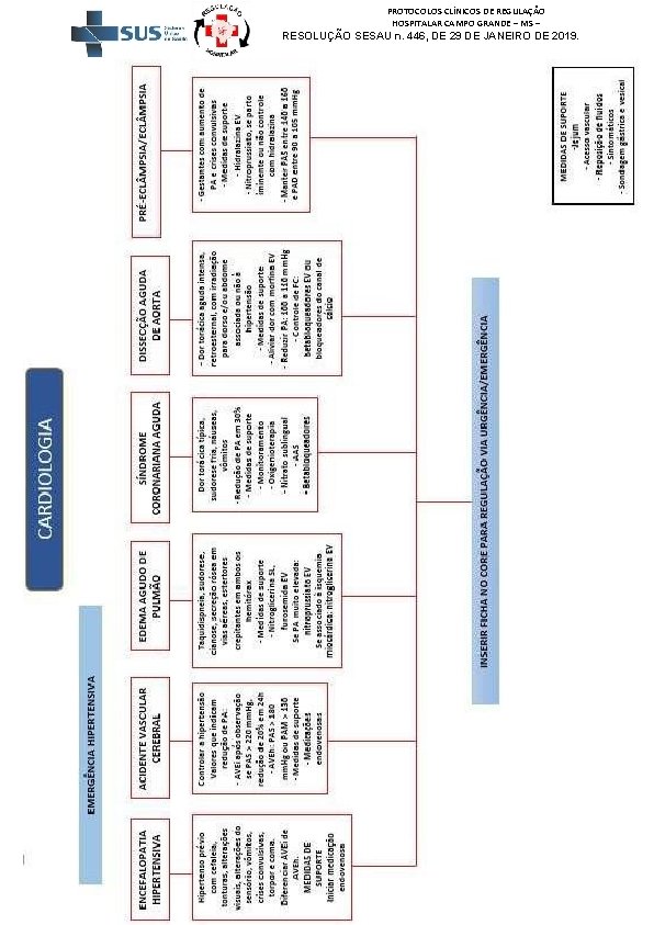 PROTOCOLOS CLÍNICOS DE REGULAÇÃO HOSPITALAR CAMPO GRANDE – MS – RESOLUÇÃO SESAU n. 446,