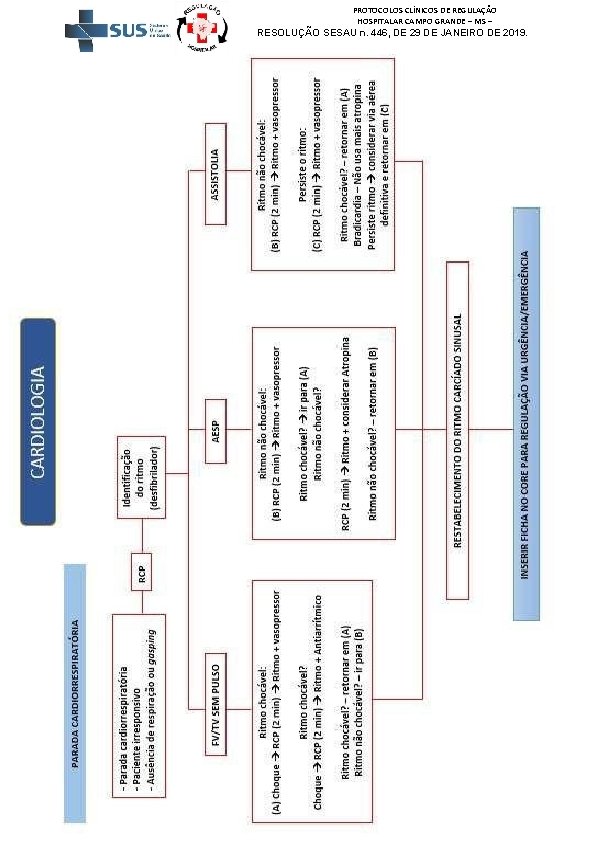 PROTOCOLOS CLÍNICOS DE REGULAÇÃO HOSPITALAR CAMPO GRANDE – MS – RESOLUÇÃO SESAU n. 446,