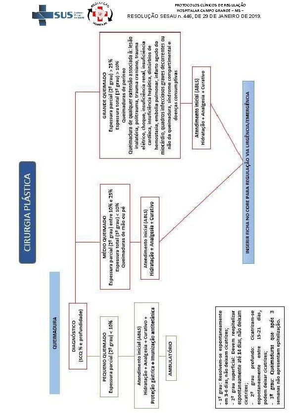 PROTOCOLOS CLÍNICOS DE REGULAÇÃO HOSPITALAR CAMPO GRANDE – MS – RESOLUÇÃO SESAU n. 446,