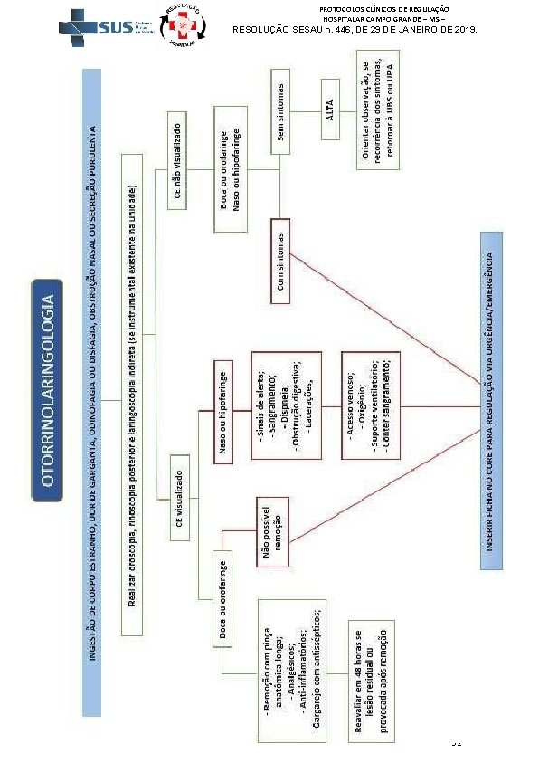 PROTOCOLOS CLÍNICOS DE REGULAÇÃO HOSPITALAR CAMPO GRANDE – MS – RESOLUÇÃO SESAU n. 446,