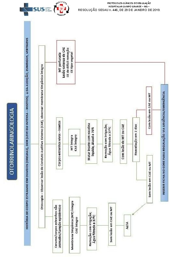 PROTOCOLOS CLÍNICOS DE REGULAÇÃO HOSPITALAR CAMPO GRANDE – MS – RESOLUÇÃO SESAU n. 446,