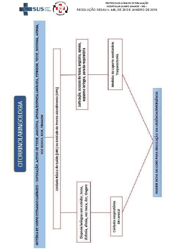 PROTOCOLOS CLÍNICOS DE REGULAÇÃO HOSPITALAR CAMPO GRANDE – MS – RESOLUÇÃO SESAU n. 446,