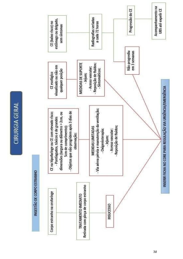 PROTOCOLOS CLÍNICOS DE REGULAÇÃO HOSPITALAR CAMPO GRANDE – MS – RESOLUÇÃO SESAU n. 446,