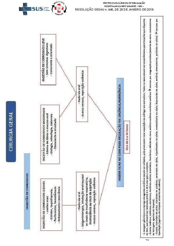 PROTOCOLOS CLÍNICOS DE REGULAÇÃO HOSPITALAR CAMPO GRANDE – MS – RESOLUÇÃO SESAU n. 446,