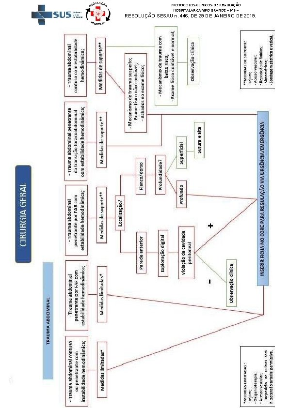 PROTOCOLOS CLÍNICOS DE REGULAÇÃO HOSPITALAR CAMPO GRANDE – MS – RESOLUÇÃO SESAU n. 446,