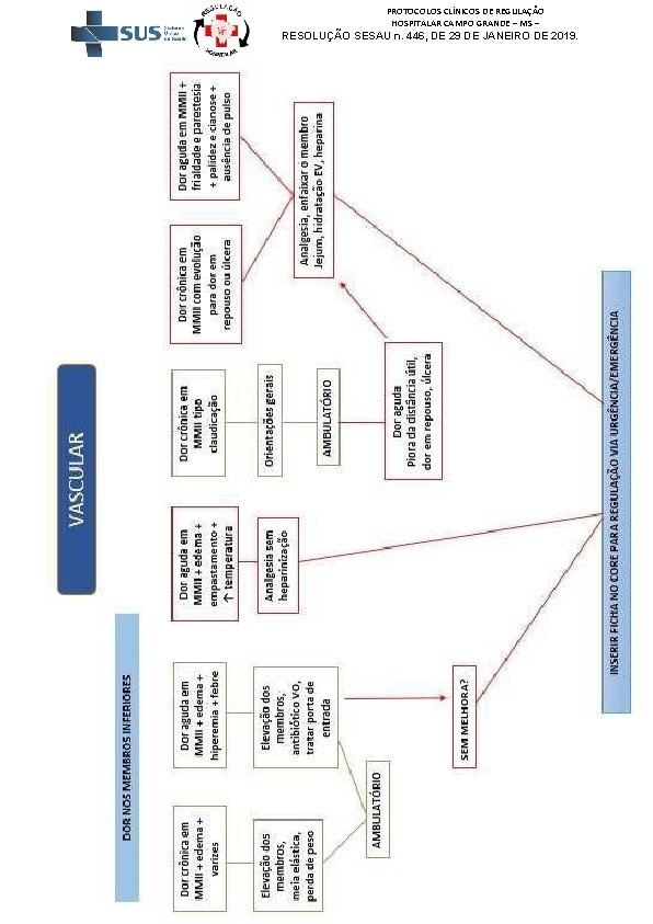 PROTOCOLOS CLÍNICOS DE REGULAÇÃO HOSPITALAR CAMPO GRANDE – MS – RESOLUÇÃO SESAU n. 446,