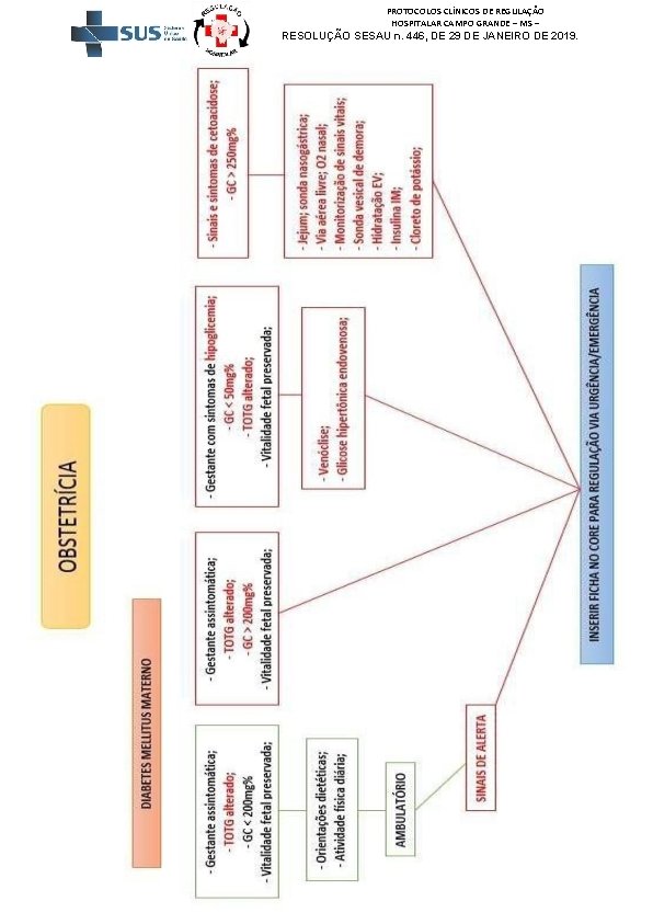 PROTOCOLOS CLÍNICOS DE REGULAÇÃO HOSPITALAR CAMPO GRANDE – MS – RESOLUÇÃO SESAU n. 446,