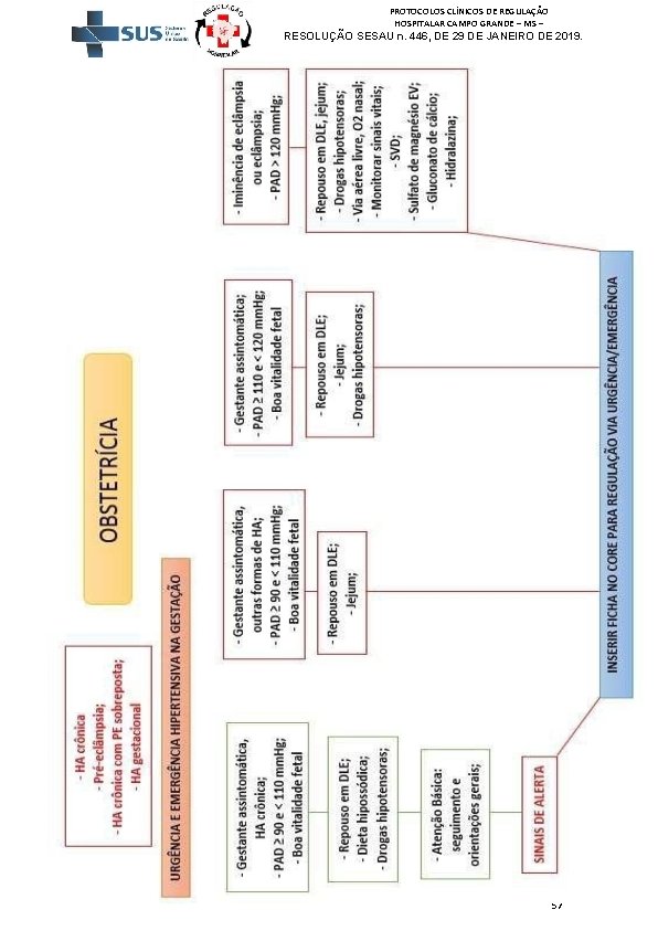 PROTOCOLOS CLÍNICOS DE REGULAÇÃO HOSPITALAR CAMPO GRANDE – MS – RESOLUÇÃO SESAU n. 446,