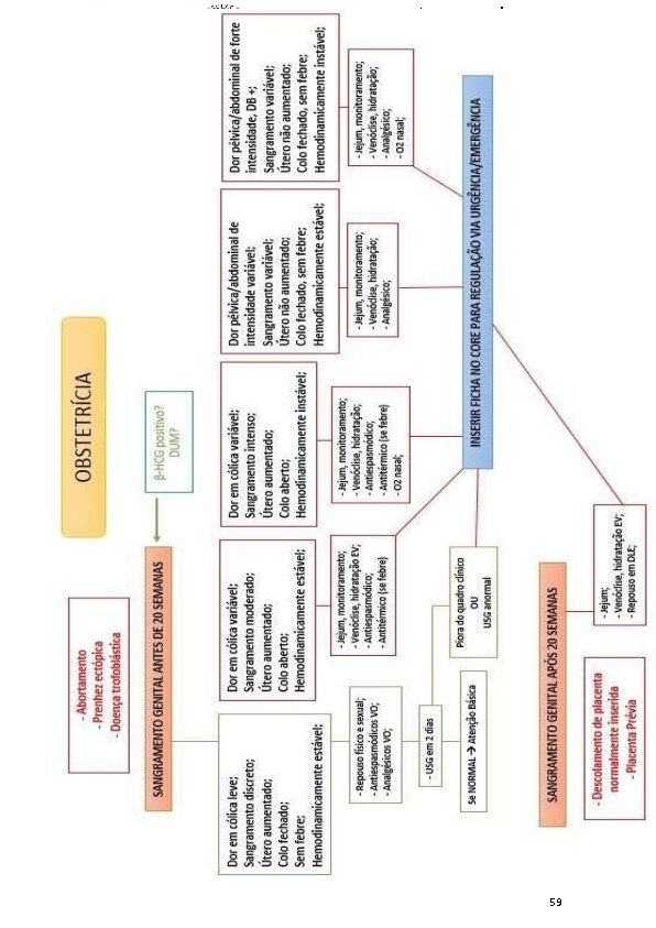 PROTOCOLOS CLÍNICOS DE REGULAÇÃO HOSPITALAR CAMPO GRANDE – MS – RESOLUÇÃO SESAU n. 446,