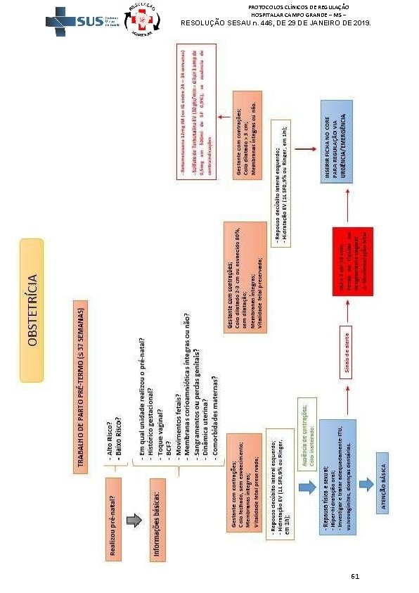 PROTOCOLOS CLÍNICOS DE REGULAÇÃO HOSPITALAR CAMPO GRANDE – MS – RESOLUÇÃO SESAU n. 446,