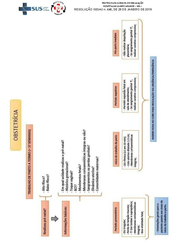 PROTOCOLOS CLÍNICOS DE REGULAÇÃO HOSPITALAR CAMPO GRANDE – MS – RESOLUÇÃO SESAU n. 446,