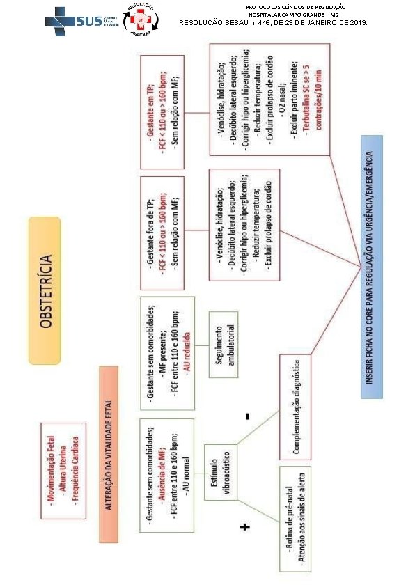 PROTOCOLOS CLÍNICOS DE REGULAÇÃO HOSPITALAR CAMPO GRANDE – MS – RESOLUÇÃO SESAU n. 446,