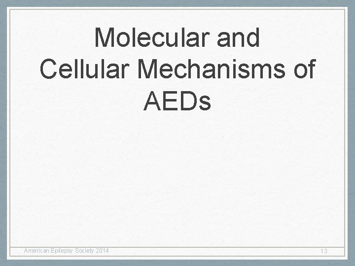 Molecular and Cellular Mechanisms of AEDs American Epilepsy Society 2014 13 