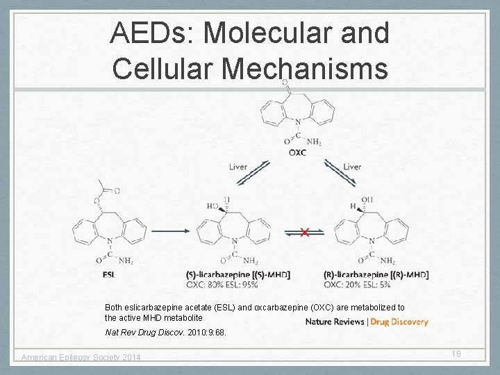 AEDs: Molecular and Cellular Mechanisms Both eslicarbazepine acetate (ESL) and oxcarbazepine (OXC) are metabolized