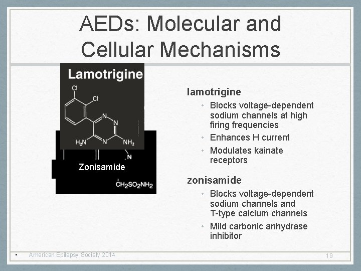 AEDs: Molecular and Cellular Mechanisms lamotrigine Zonisamide • Blocks voltage-dependent sodium channels at high